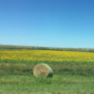 Meet your Posher, Sb